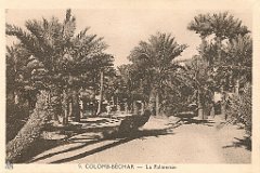colomb bechar  (10)